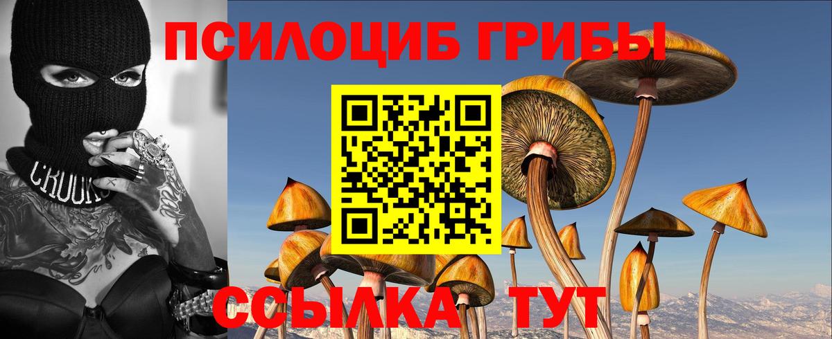 Псилоцибиновые грибы Psilocybine cubensis  Вход с VPN  Зерноград 